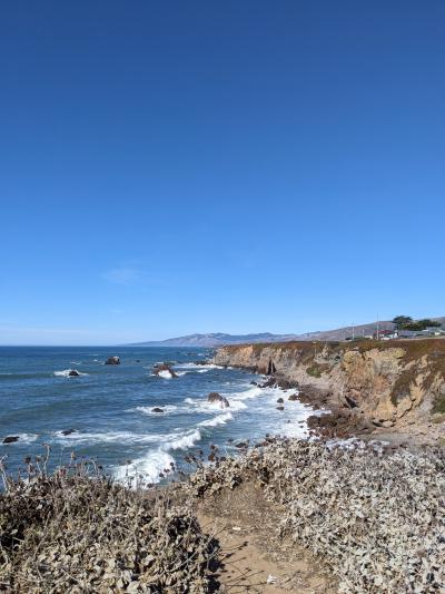 PXL_20241018_195838534.RAW-01.COVER.jpg