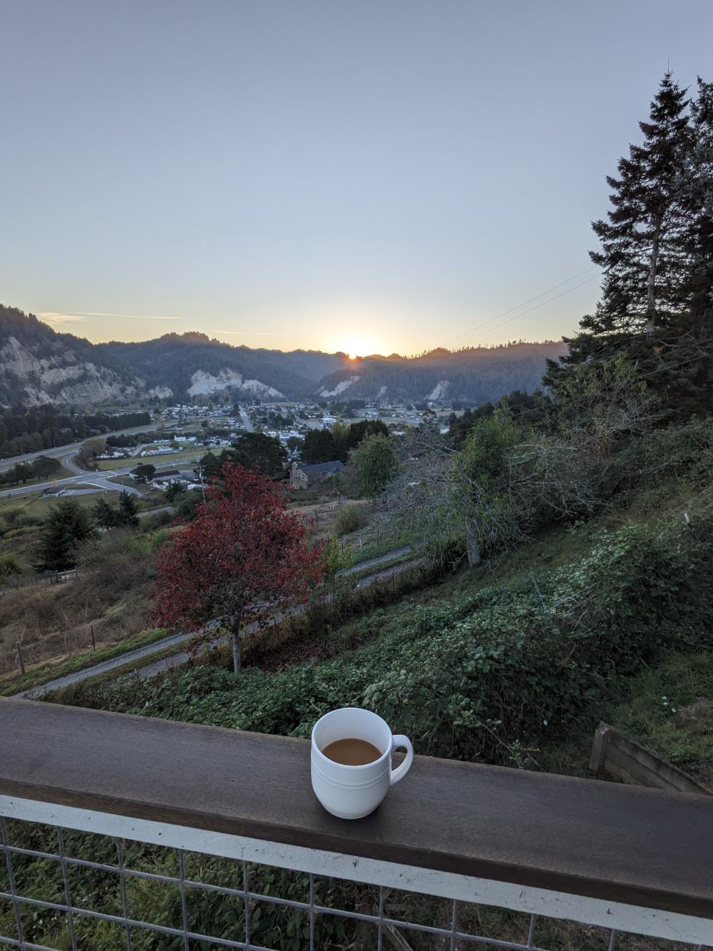PXL_20241019_144908462.RAW-01.COVER.jpg
