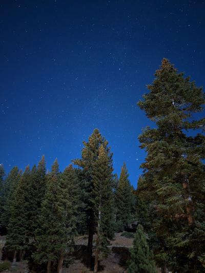 PXL_20241020_064642744.NIGHT.RAW-01.COVER.jpg